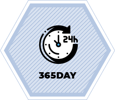365DAY